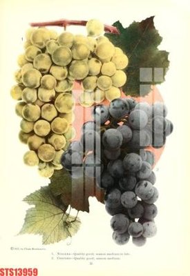 Mua file gốc Tranh sơn dầu phương tây tổng hợp STS13959 (chất lượng) tại Filetranh.com