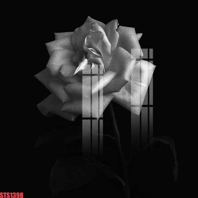 File in ấn Tranh sơn dầu phương tây tổng hợp STS1398 (bản gốc) chất lượng cao