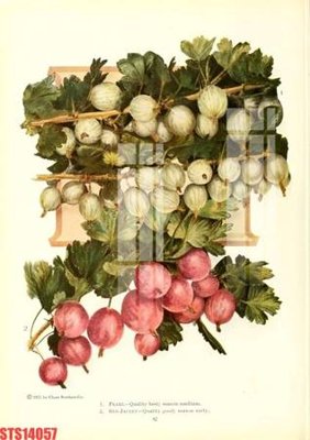 File PSD Tranh sơn dầu phương tây tổng hợp STS14057 (gốc) nhiều lớp (multi-layer)