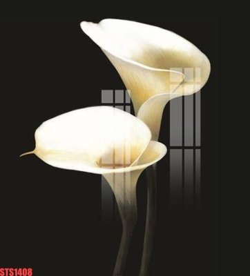 Tải file PSD Tranh sơn dầu phương tây tổng hợp STS1408 (nguyên layer) để in