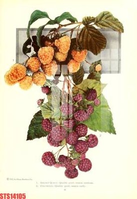 Hình ảnh file gốc in lụa Tranh sơn dầu phương tây tổng hợp STS14105