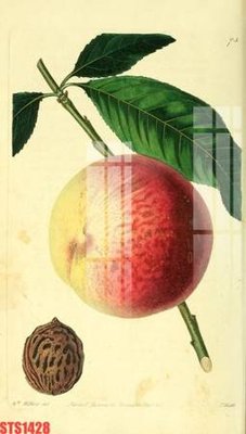 File in lụa Tranh sơn dầu phương tây tổng hợp STS1428 (tân cổ điển) Tranh sơn dầu phương tây tổng hợp STS1428