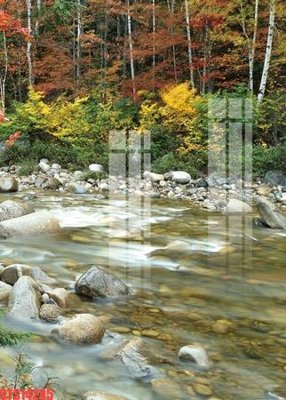 Tải file tranh Tranh sơn dầu phương tây tổng hợp STS14285 (ảnh gốc) ngay