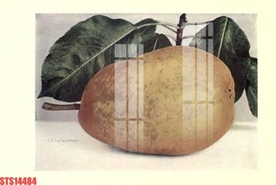 File gốc Tranh sơn dầu phương tây tổng hợp STS14484 (ảnh chi tiết) để in ấn