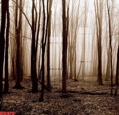 Download file gốc Tranh sơn dầu phương tây tổng hợp STS14712 (in mica) logo