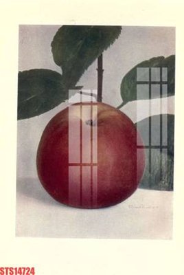 File tranh Tranh sơn dầu phương tây tổng hợp STS14724 (gốc) in vải canvas