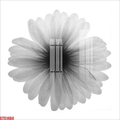 File in trần Tranh sơn dầu phương tây tổng hợp STS1484 (bản gốc) mây trời