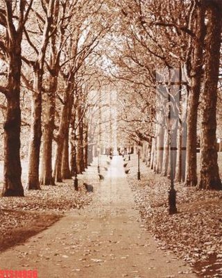 Tải về hình ảnh gốc Tranh sơn dầu phương tây tổng hợp STS14856 sắc nét