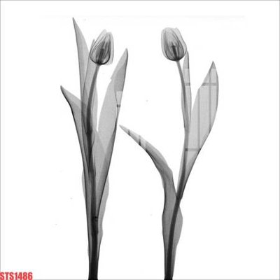 File gốc Tranh sơn dầu phương tây tổng hợp STS1486 (ảnh rõ nét) để in