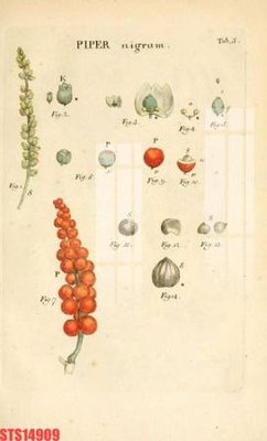 File gốc Tranh sơn dầu phương tây tổng hợp STS14909 (dành cho trang trí nội thất)