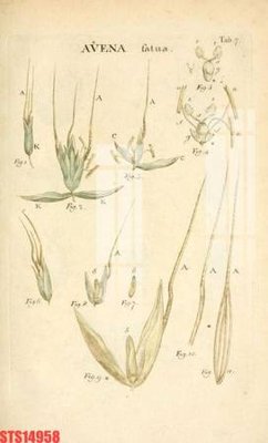 File tranh gốc PSD Tranh sơn dầu phương tây tổng hợp STS14958 còn nguyên layer