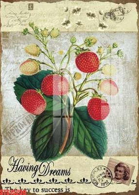 File in mica Tranh sơn dầu phương tây tổng hợp STS15239 (ảnh gốc) đẹp