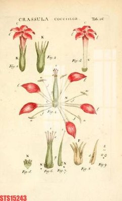 File gốc Tranh sơn dầu phương tây tổng hợp STS15243 (in lụa) chi tiết cao