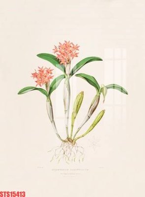 Tải file gốc Tranh sơn dầu phương tây tổng hợp STS15413 (in tráng gương) 3DFile gốc Tranh sơn dầu phương tây tổng hợp STS15413 (sẵn sàng in) chất lượng cao