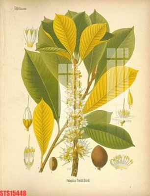 File tranh trang trí Tranh sơn dầu phương tây tổng hợp STS15448 (tải file gốc)