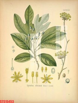 Tải file Tranh sơn dầu phương tây tổng hợp STS15453 (gốc) làm file quảng cáo