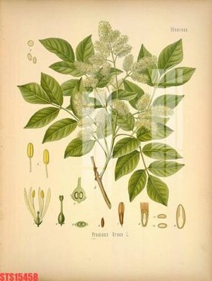 Download file gốc Tranh sơn dầu phương tây tổng hợp STS15458 (in mica) 3D