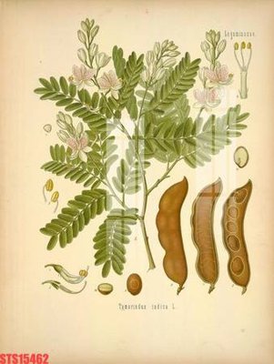 Tải file tranh Tranh sơn dầu phương tây tổng hợp STS15462 (gốc) tại Filetranh.com