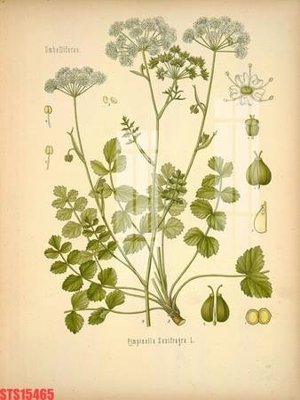 File gốc Tranh sơn dầu phương tây tổng hợp STS15465 (in lụa) cao cấp