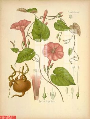 File gốc Tranh sơn dầu phương tây tổng hợp STS15468 (in 3D) nghệ thuật