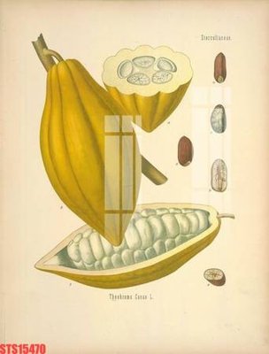 File tranh Tranh sơn dầu phương tây tổng hợp STS15470 (gốc) in vải canvas