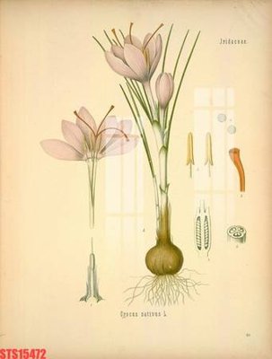 File gốc Tranh sơn dầu phương tây tổng hợp STS15472 (phong cách) châu Âu