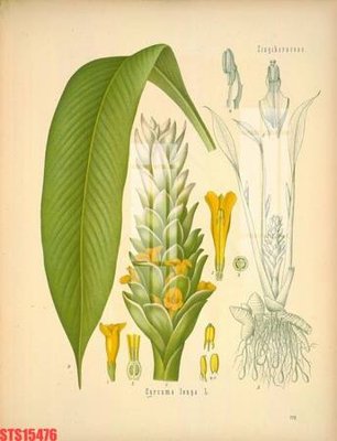 File in mica Tranh sơn dầu phương tây tổng hợp STS15476 (bản gốc) sắc sảo