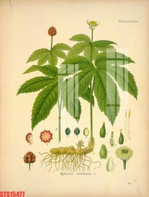 Tải file Tranh sơn dầu phương tây tổng hợp STS15477 (gốc) làm tranh trang trí