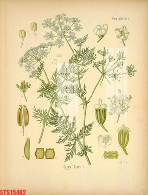 File tranh Tranh sơn dầu phương tây tổng hợp STS15482 (gốc) in film