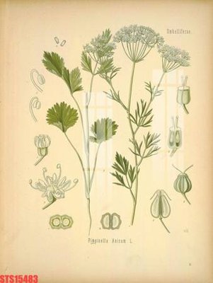 File tranh Tranh sơn dầu phương tây tổng hợp STS15483 (gốc) in vải canvas