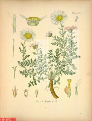 Tải file Tranh sơn dầu phương tây tổng hợp STS15488 (ảnh gốc) file AI/EPS