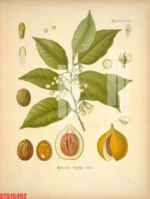 File tranh quảng cáo Tranh sơn dầu phương tây tổng hợp STS15492 (download file gốc)