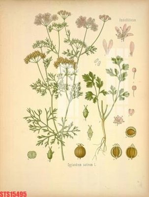 File ảnh Tranh sơn dầu phương tây tổng hợp STS15495 (gốc) in biển hiệu