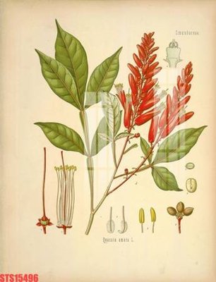 Tải file gốc Tranh sơn dầu phương tây tổng hợp STS15496 (để in lụa)