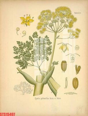 File gốc Tranh sơn dầu phương tây tổng hợp STS15497 (in tráng gương) sang trọng