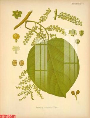 File in ấn Tranh sơn dầu phương tây tổng hợp STS15501 (bản gốc) chất lượng cao