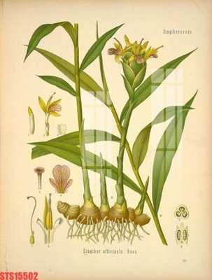 Tải file Tranh sơn dầu phương tây tổng hợp STS15502 (gốc) làm file quảng cáo