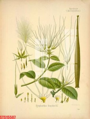 Mua file ảnh gốc Tranh sơn dầu phương tây tổng hợp STS15507 (chất lượng cao)