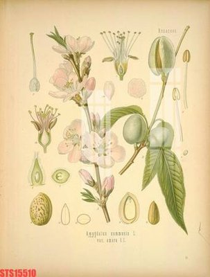 Tải file Tranh sơn dầu phương tây tổng hợp STS15510 (PSD) cho in tranh 3D