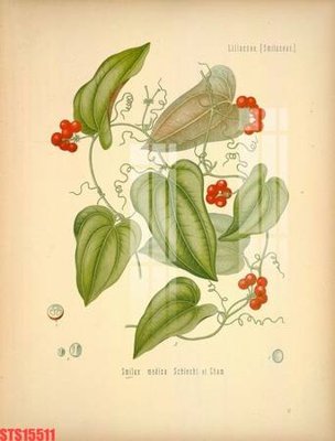 File gốc Tranh sơn dầu phương tây tổng hợp STS15511 (trang trí) cho phòng khách