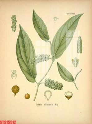 File tranh Tranh sơn dầu phương tây tổng hợp STS15512 (bản gốc) treo quán cafe