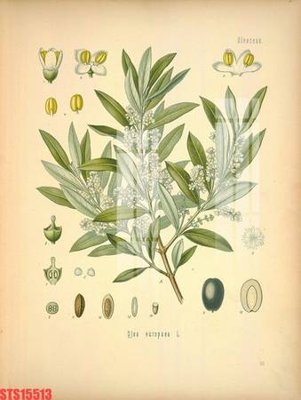 Tải file gốc Tranh sơn dầu phương tây tổng hợp STS15513 (in tráng gương) 5DFile gốc Tranh sơn dầu phương tây tổng hợp STS15513 (in ấn) phiên bản premium