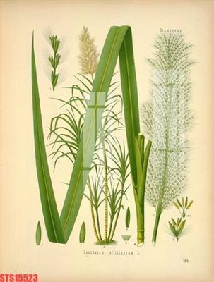 Tải file Tranh sơn dầu phương tây tổng hợp STS15523 (gốc) in ấn ngay lập tức