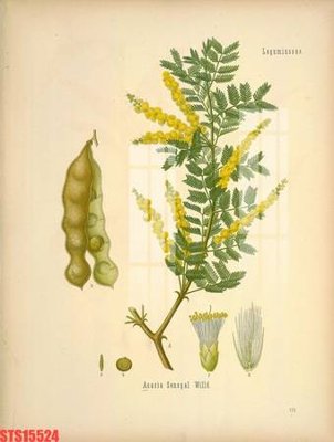 Download file ảnh gốc Tranh sơn dầu phương tây tổng hợp STS15524 để in ấn