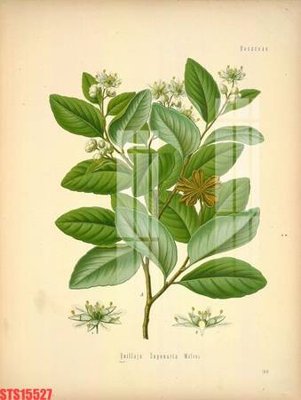 File tranh Tranh sơn dầu phương tây tổng hợp STS15527 (gốc) chủ đề thành phố