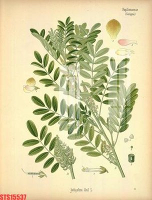 Tải file gốc Tranh sơn dầu phương tây tổng hợp STS15537 (in khổ lớn) quảng cáo