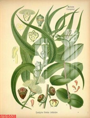 File gốc Tranh sơn dầu phương tây tổng hợp STS15538 (trang trí) phòng trẻ em