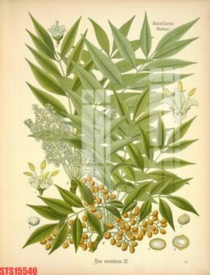 Tải file gốc Tranh sơn dầu phương tây tổng hợp STS15540 (bản PSD) chỉnh sửa được