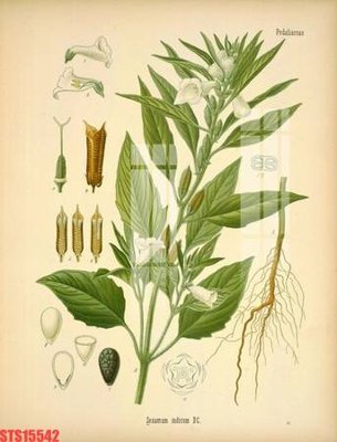 Tải về file gốc Tranh sơn dầu phương tây tổng hợp STS15542 (dùng cho in quảng cáo)