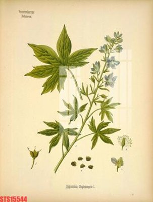 File ảnh gốc Tranh sơn dầu phương tây tổng hợp STS15544 (chuyên in mica)